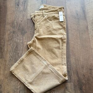 Pilcro Beige Corduroy Trousers